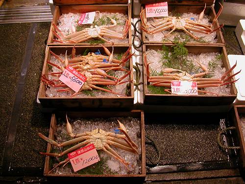 城崎温泉　津居山ガニ