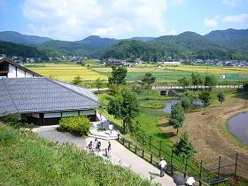コウノトリの郷公園